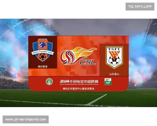 鲁能泰山足球俱乐部在中超联赛的历年成绩汇总 鲁能泰山足球俱乐部在中超联赛的历年成绩汇总