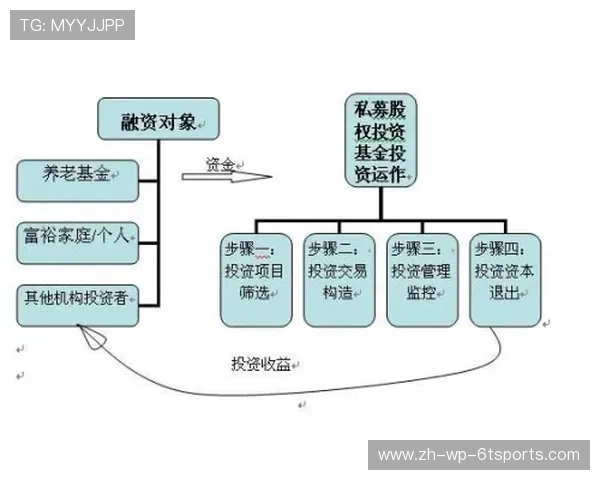 德甲球队的股权结构分析：投资方与管理层的关系
